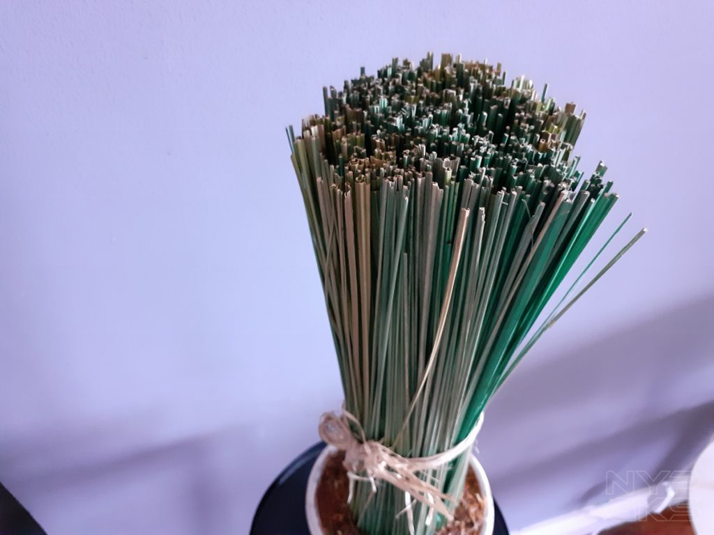 Samsung-Galaxy-M20-camera-samples-5796
