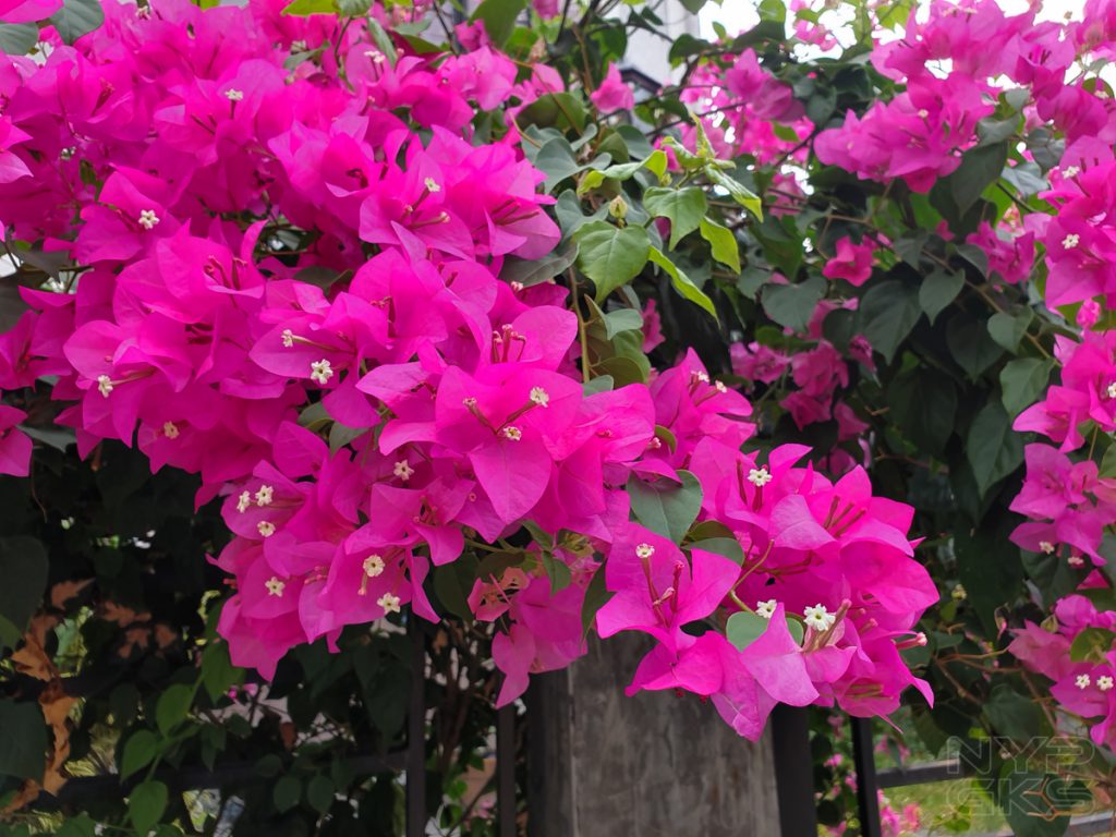 Samsung-Galaxy-S10-camera-samples-5788