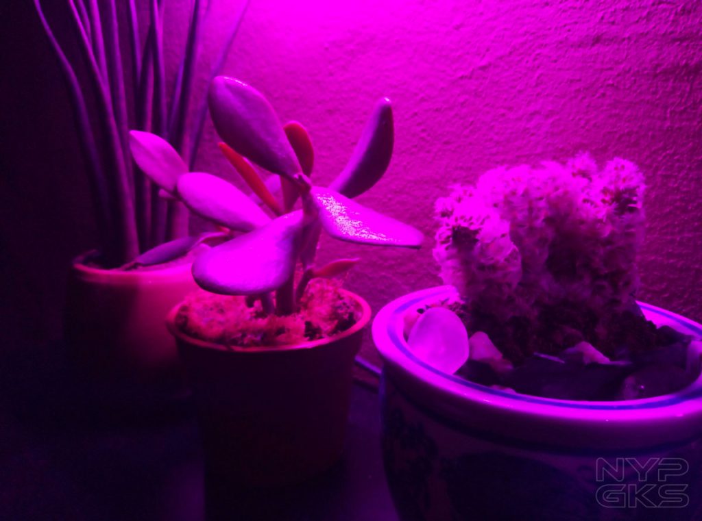 Cherry-Mobile-Flare-Y7-LTE-camera-samples-5360