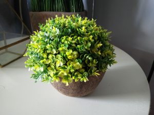 Realme-C2-camera-samples-5798