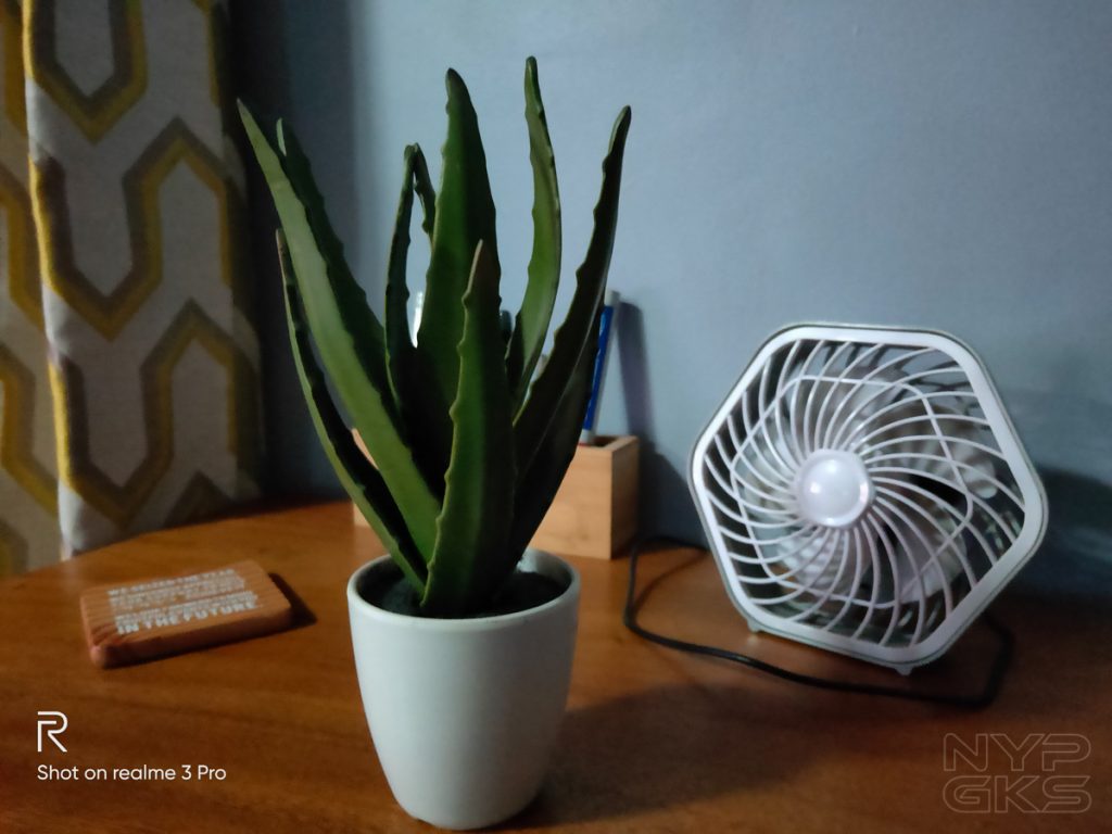 Realme-3-Pro-Low-Light-samples-5345