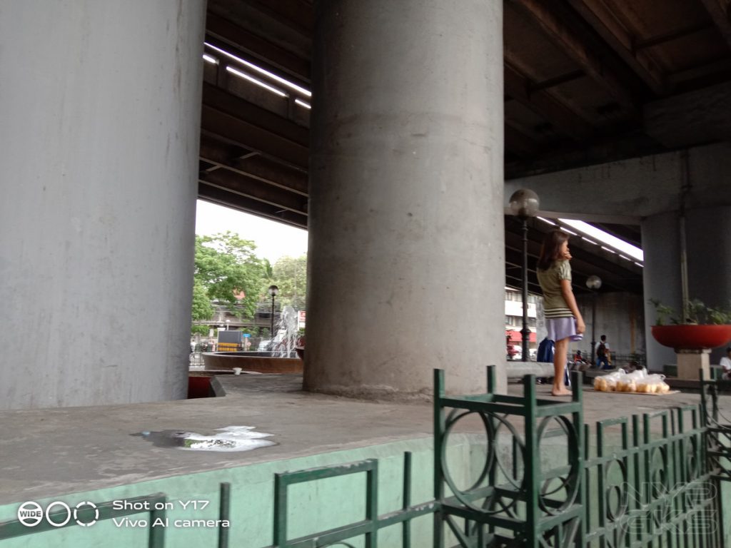 Vivo-Y17-camera-samples-5479
