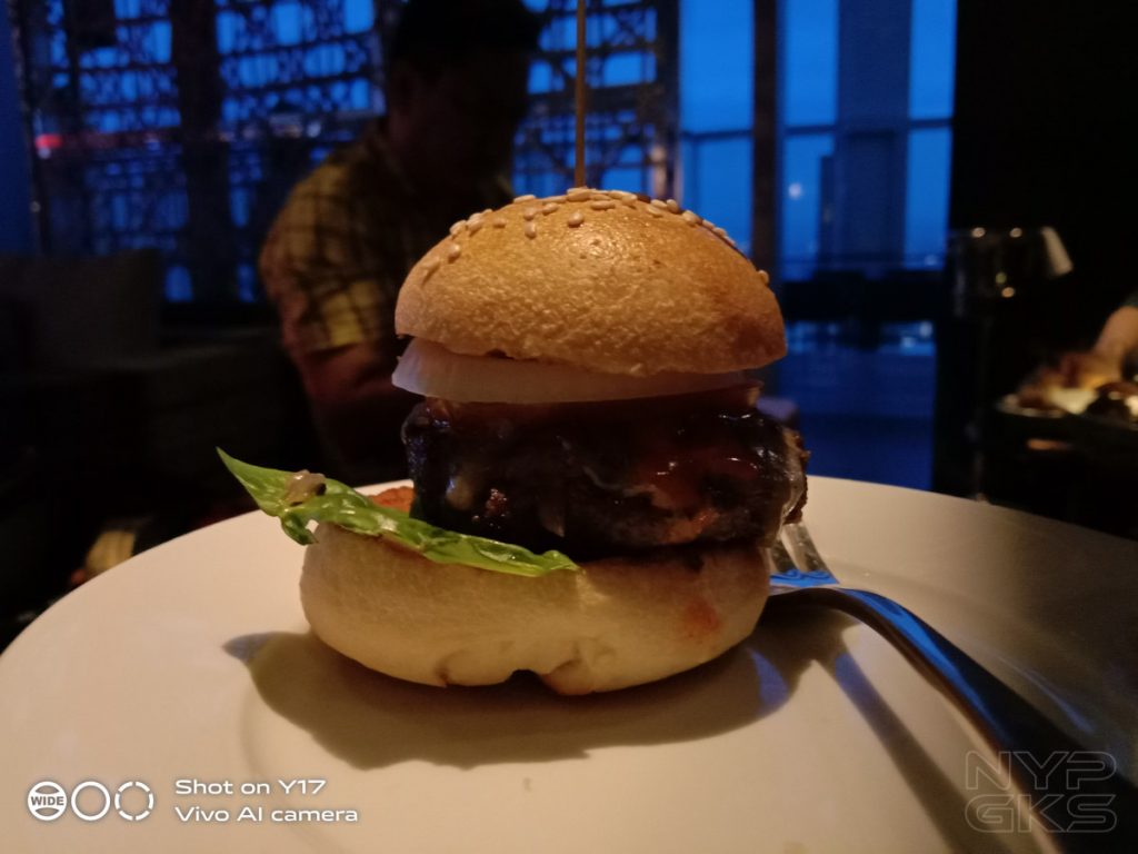 Vivo-Y17-camera-samples-5497