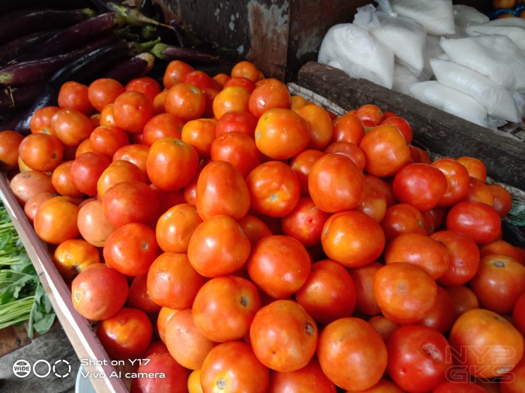 Vivo-Y17-camera-samples-5499