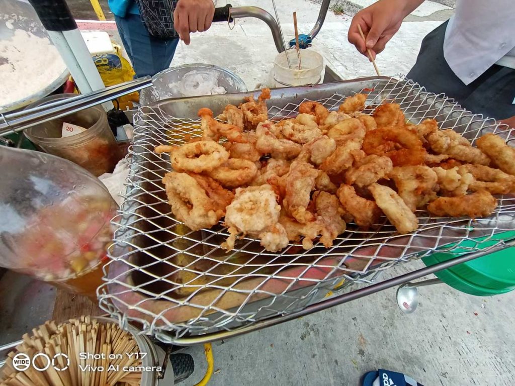 Vivo-Y17-camera-samples-5501