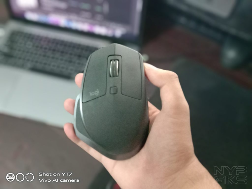 Vivo-Y17-portrait-mode-5478