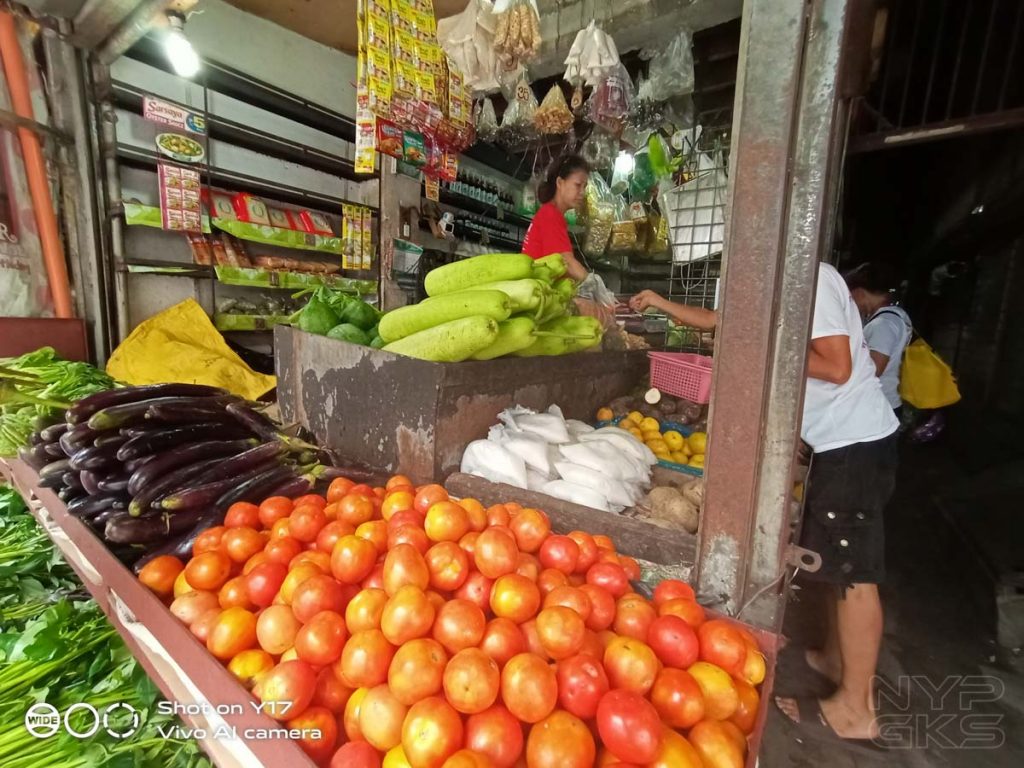 Vivo-Y17-wide-angle-5486