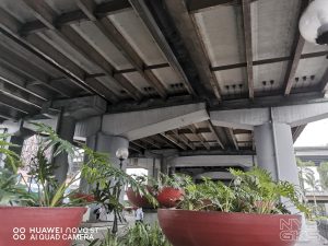 Huawei-Nova-5T-camera-samples-5479