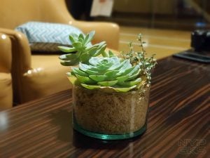 Samsung-Galaxy-Note-10-camera-samples-5464