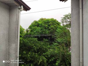 Xiaomi-Mi-9T-camera-samples-5468