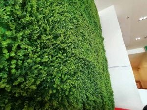 Huawei-Y9-Prime-2019-camera-samples-5825