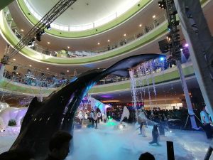 Huawei-Y9-Prime-2019-ultra-wide-samples-5819