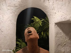 OPPO-Reno-2-camera-samples-5832