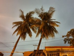 Samsung-Galaxy-Note-10-camera-samples-5824