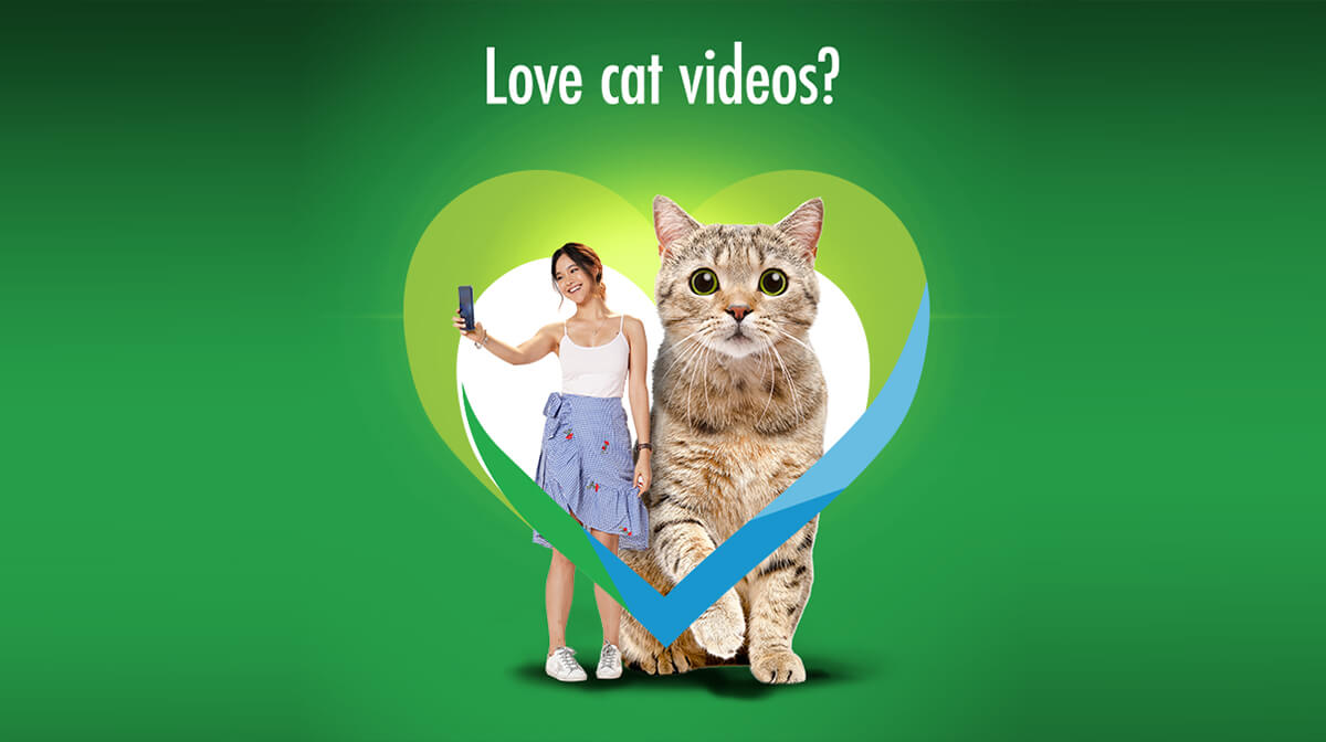 Smart-Giga-Video