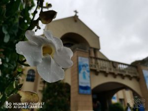 Huawei-Nova-5T-Review-portrait-mode-5817