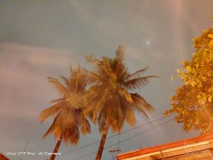 Vivo-V17-Pro-Night-Mode-5718