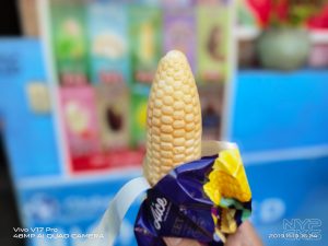 Vivo-V17-Pro-Selfie-Samples-depth-sensor-5718