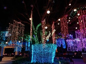 Huawei-Y6s-Camera-Samples009