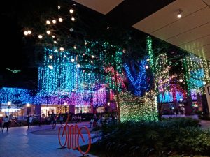 Huawei-Y6s-Camera-Samples010