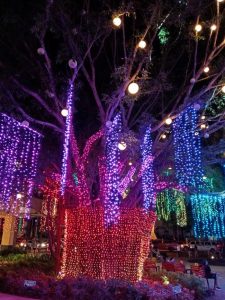 Huawei-Y6s-Camera-Samples19