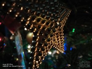 Vivo-S1-Pro-Macro-Review-5920