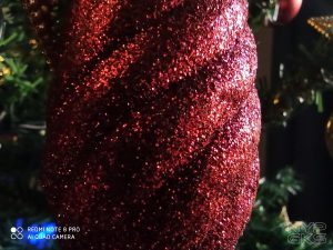 Xiaomi-Redmi-Note-8-Pro-camera-noypigeeks-5927