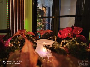 Xiaomi-Redmi-Note-8-Pro-camera-noypigeeks-5928