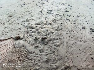 Xiaomi-Redmi-Note-8-Pro-macro-noypigeeks-5919