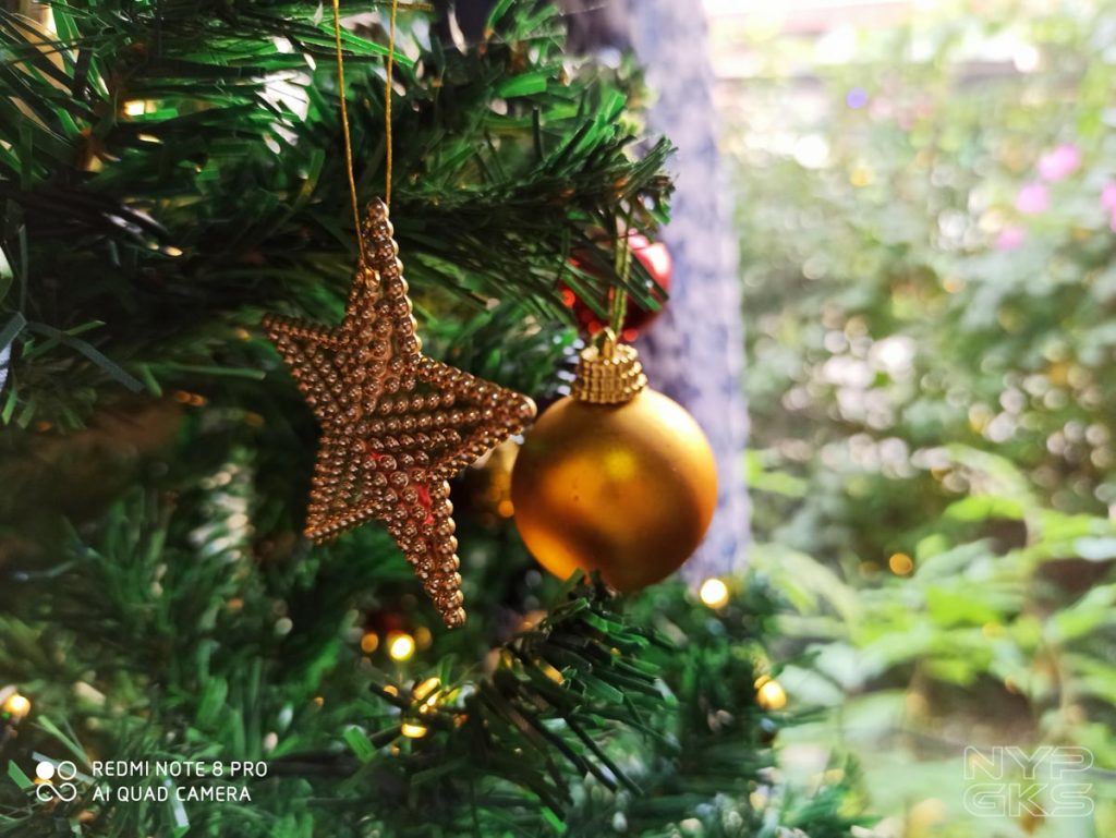 Xiaomi-Redmi-Note-8-Pro-portrait-noypigeeks-5919