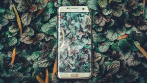 Smartphone-590281