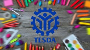 TESDA-NoypiGeeks-259101