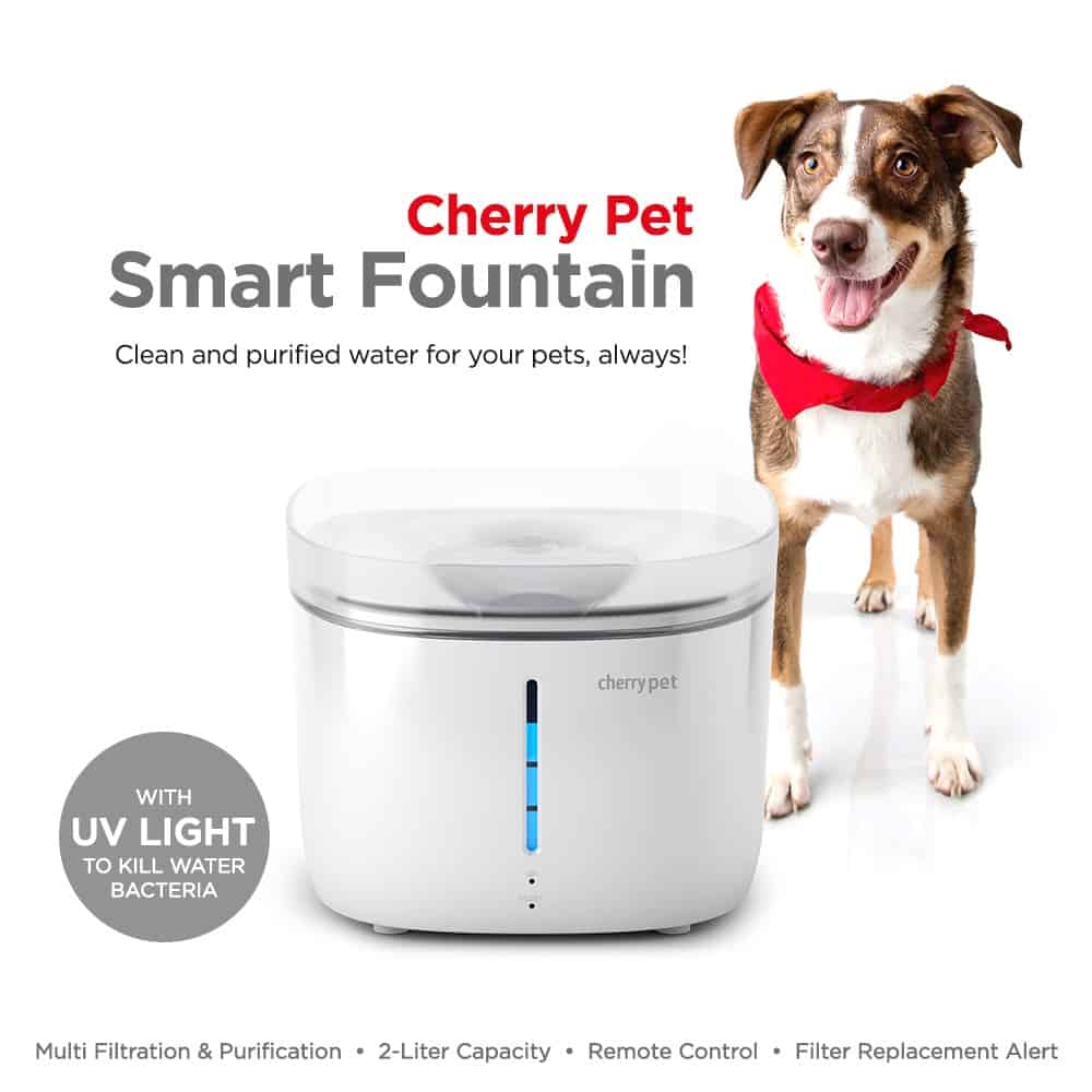 Cherry-Pet-Smart-Fountain