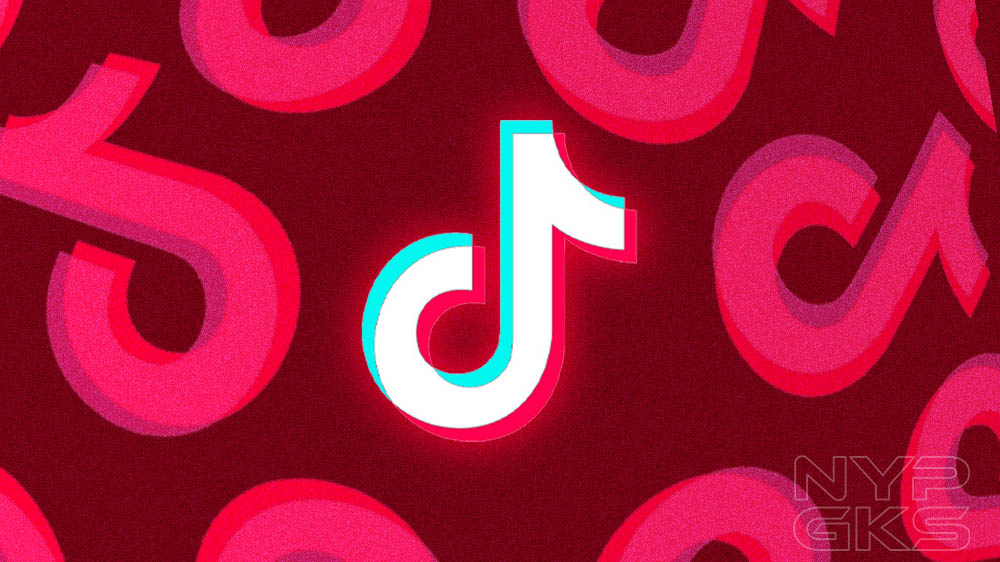 TikTok-NoypiGeeks-1541