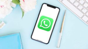 WhatsApp-NoypiGeeks