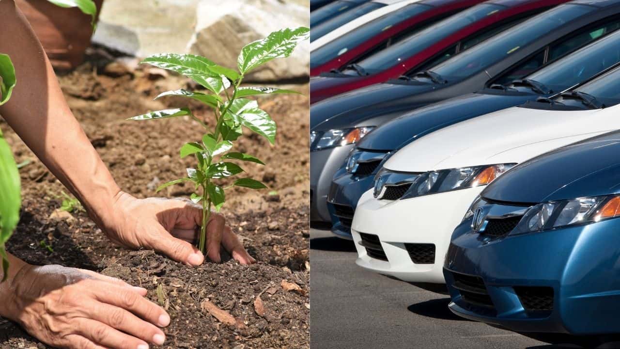Car-dealers-plant-trees-PH