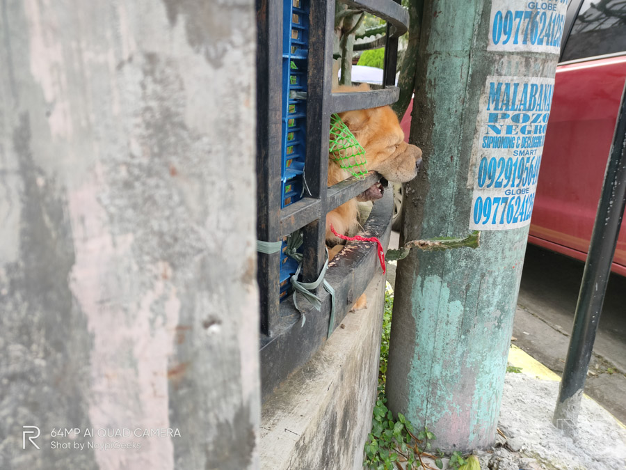 Realme-X50-Pro-5G-Camera-Samples-NoypiGeeks-5136