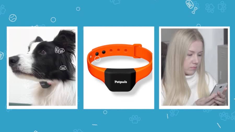 ai-smart-dog-collar-analyze-barks-pets-emotions-noypigeeks-5235