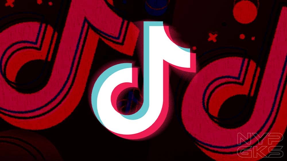 TikTok-NoypiGeeks-1202