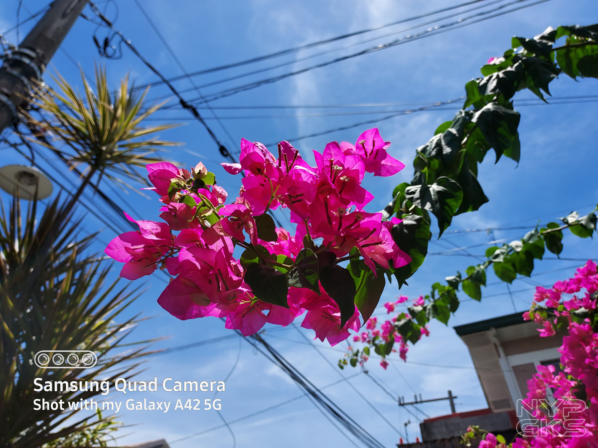 Samsung-Galaxy-A42-5G-Camera-Samples-NoypiGeeks-5373