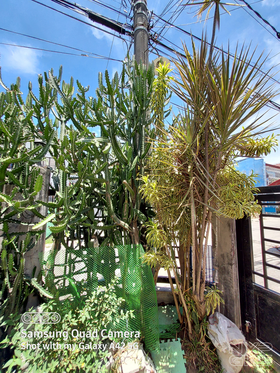 Samsung-Galaxy-A42-5G-Camera-Samples-NoypiGeeks-5374