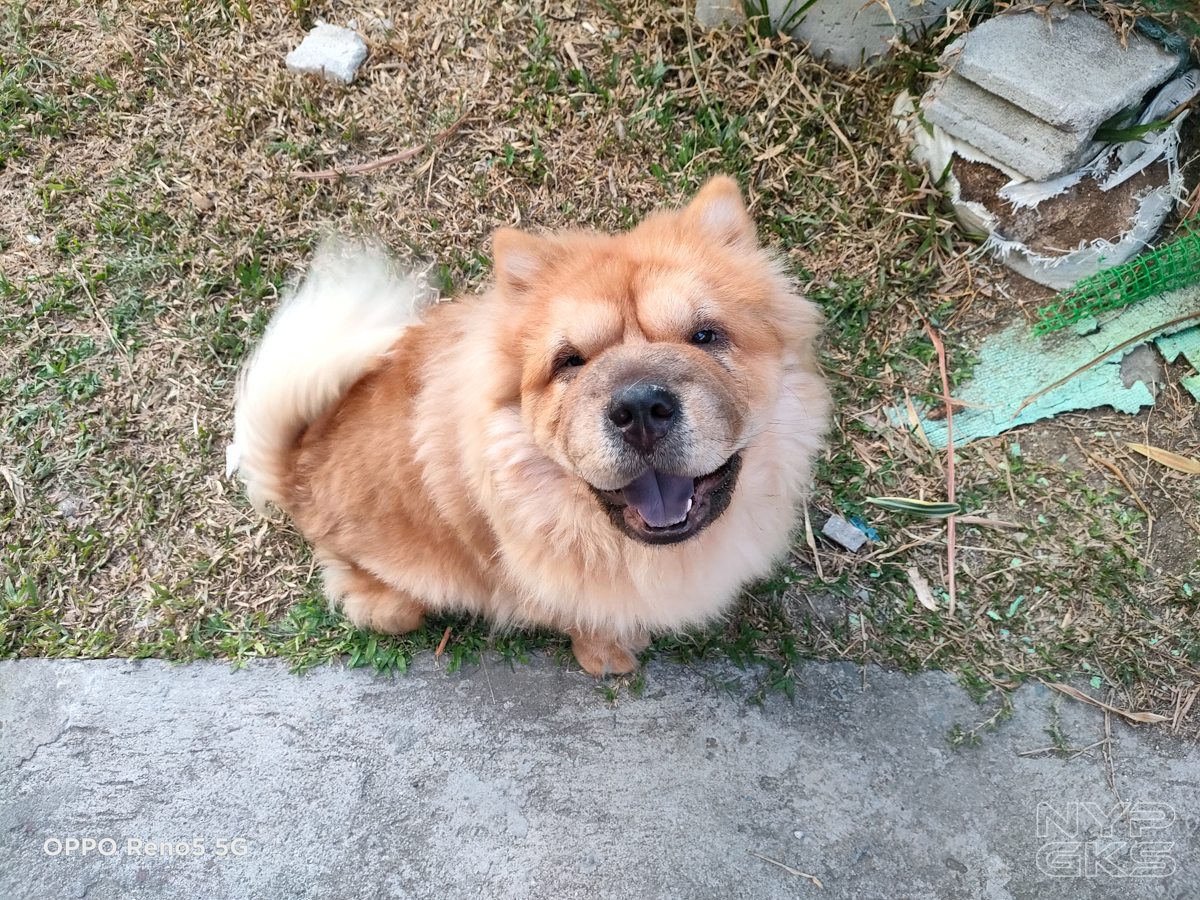 OPPO-Reno-5-5G-Camera-Samples-Review-5723