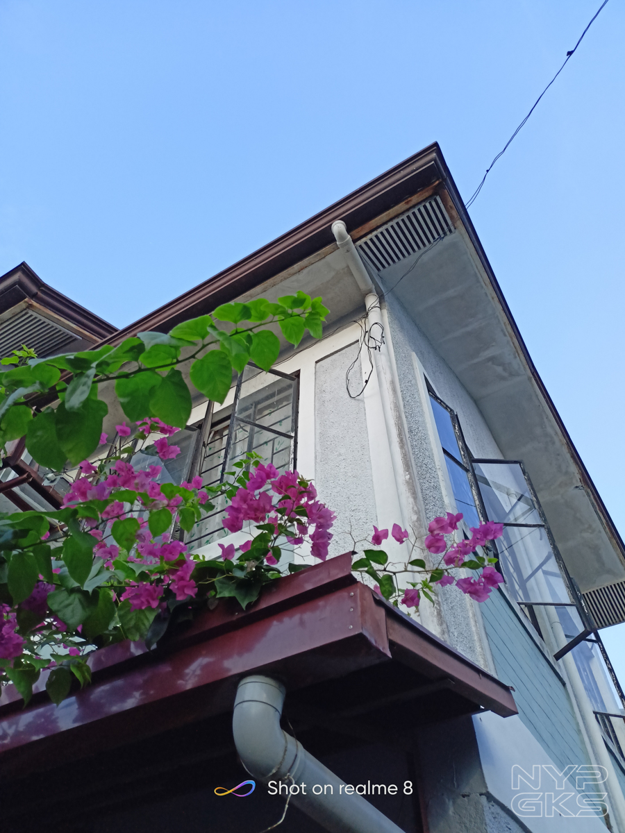 Realme-8-camera-samples-NoypiGeeks-5712