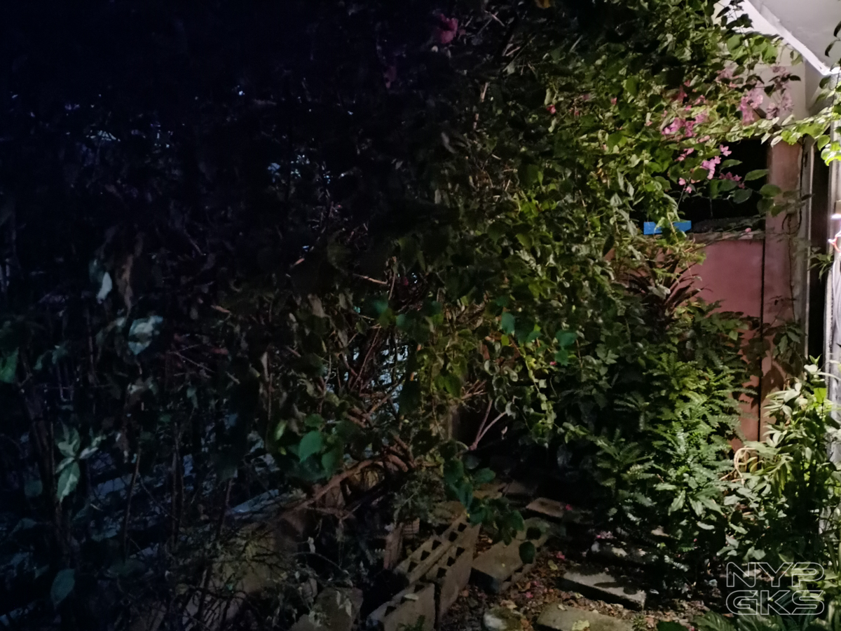Realme-8-night-mode-NoypiGeeks-5711