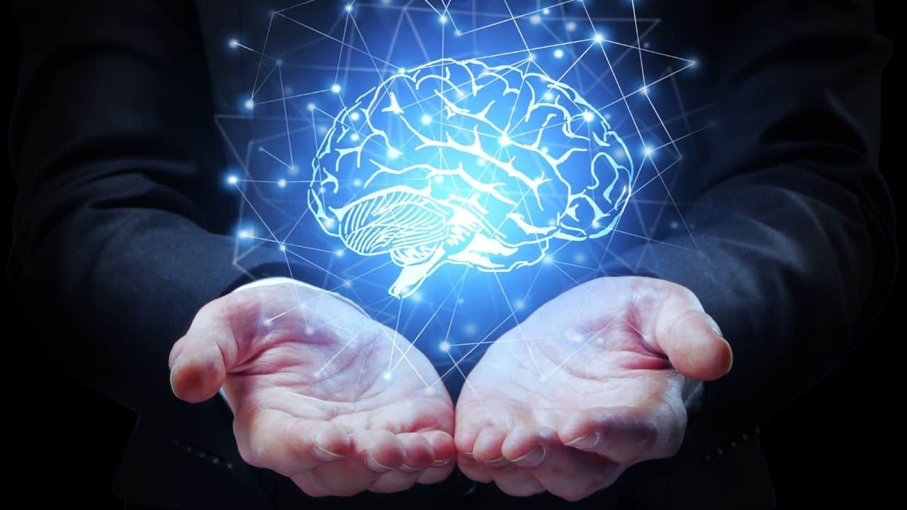 Brain-Memories-62891