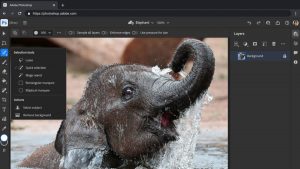adobe-photoshop-web-browser-noypigeeks