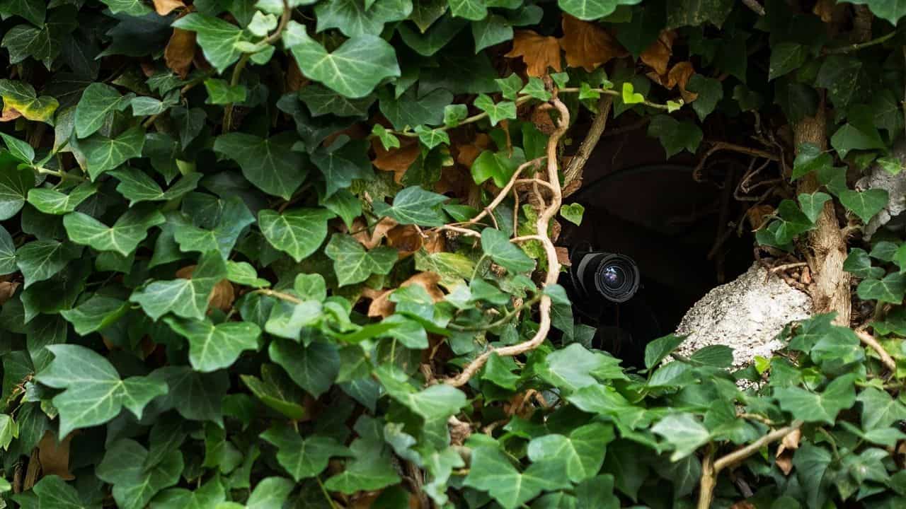 Hidden-camera-2219