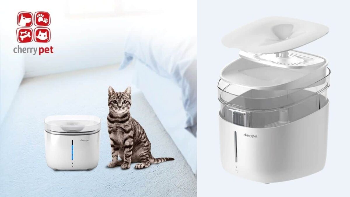 Cherry-Pet-Smart-Pet-Fountain