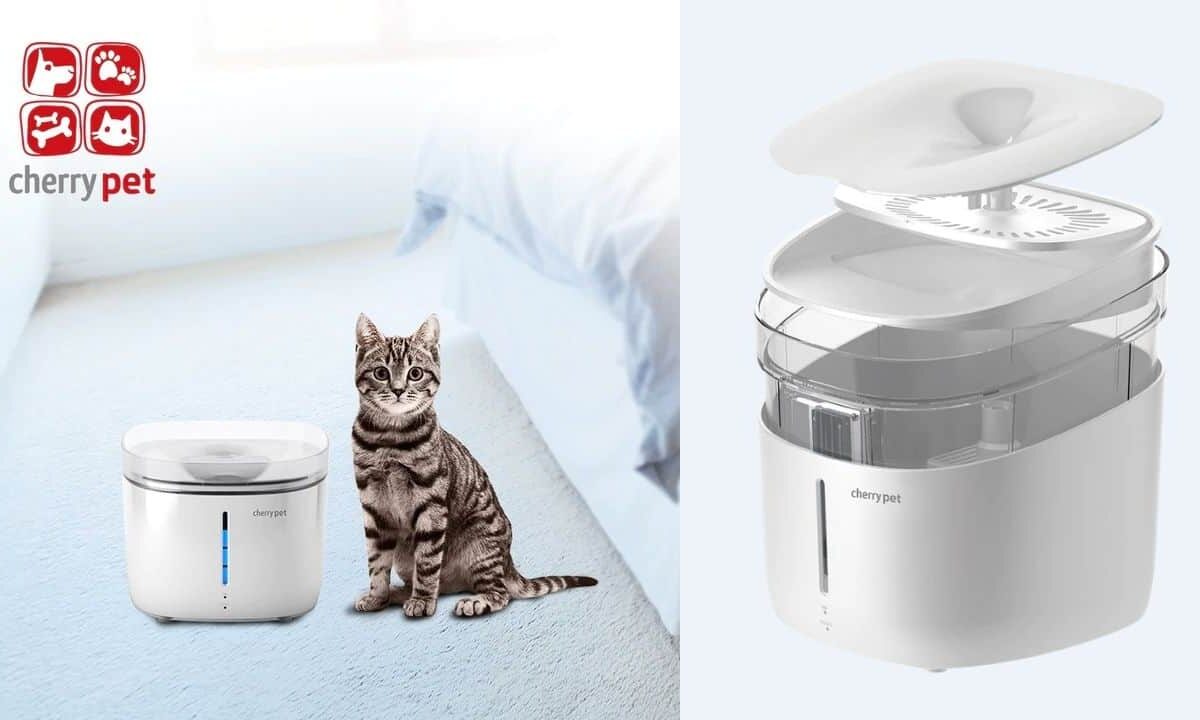 Cherry-Pet-Smart-Pet-Fountain
