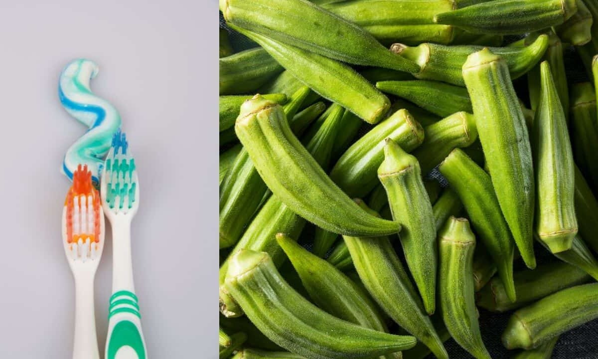 DOST-ITDI-okra-toothpaste